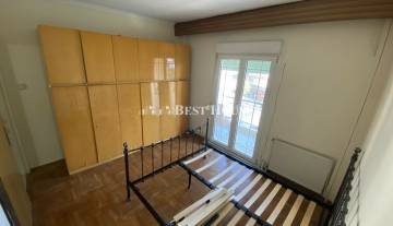 11 L7443 Nees.jpg